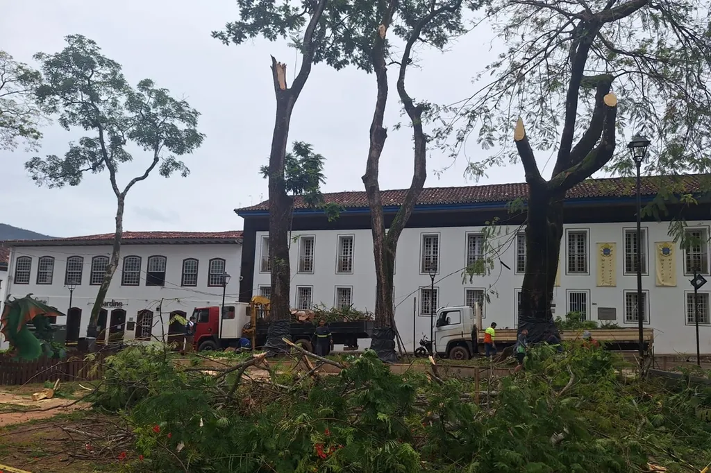 Queda de árvore no Jardim preocupa a população marianense