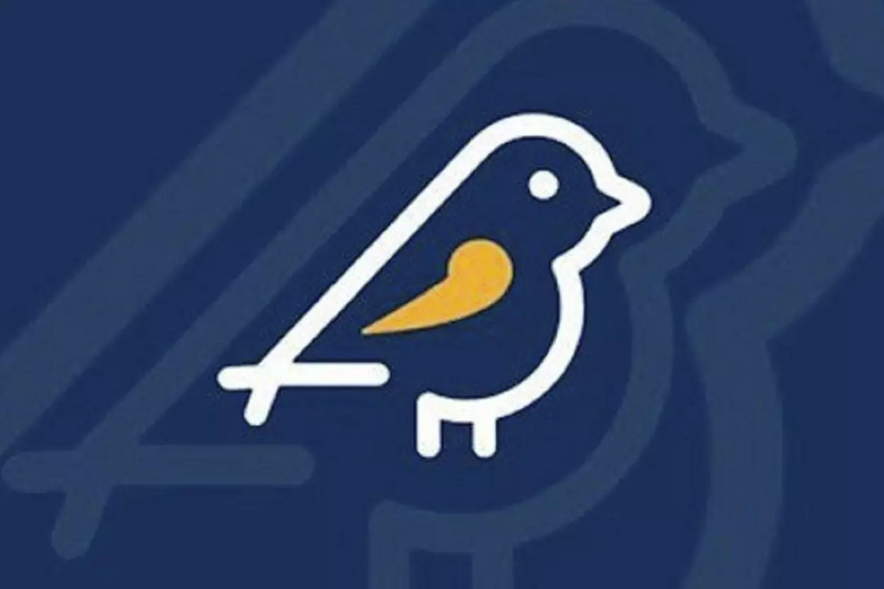 Aplicativo recebe denúncias de propaganda eleitoral irregular