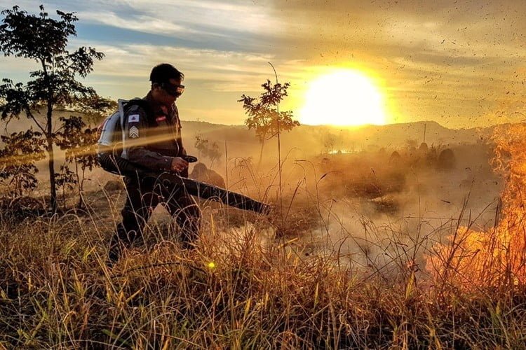 Foto Bombeiros de MG criaram perfil no Instagram para divulgar campanhas contra as queimadas. Foto: Thiago Moraes Santos/Instagram Corpo de Bombeiros Militar/MG