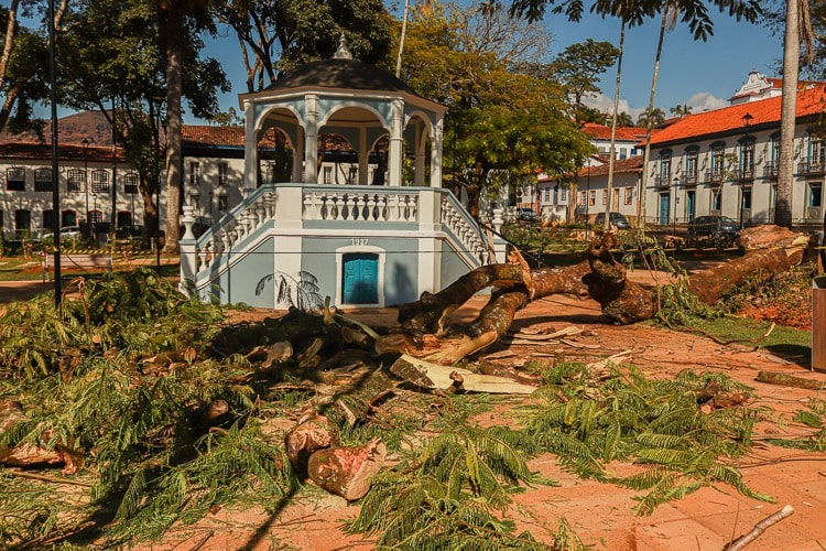 Com o Jardim fechado, queda do galho do flamboyant produziu somente danos materiais - Foto: Lui Pereira/Agência Primaz