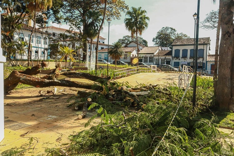 Com o Jardim fechado, queda do galho do flamboyant produziu somente danos materiais - Foto: Lui Pereira/Agência Primaz