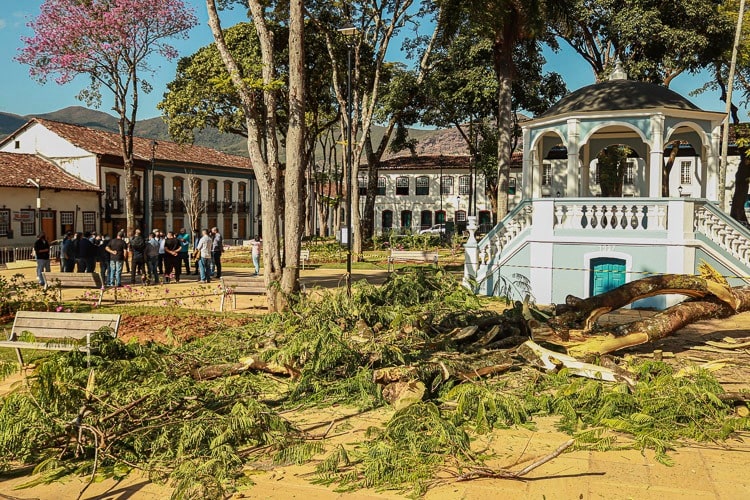 Com o Jardim fechado, queda do galho do flamboyant produziu somente danos materiais - Foto: Lui Pereira/Agência Primaz