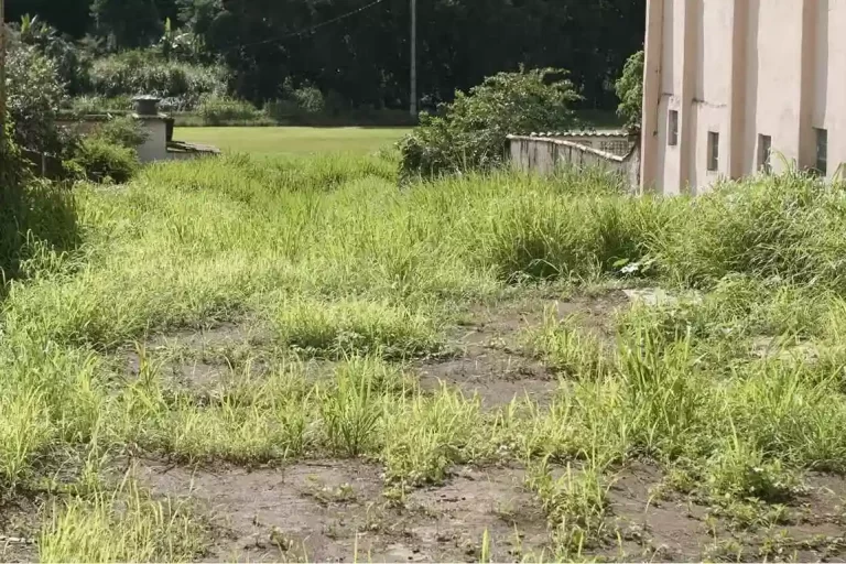 Terreno onde vai ser construído o novo Arquivo Histórico fica localizado na Rua Dom Viçoso.