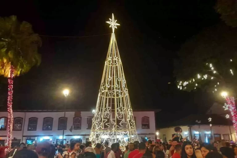 No silêncio da noite, o acender das luzes de Natal no Jardim